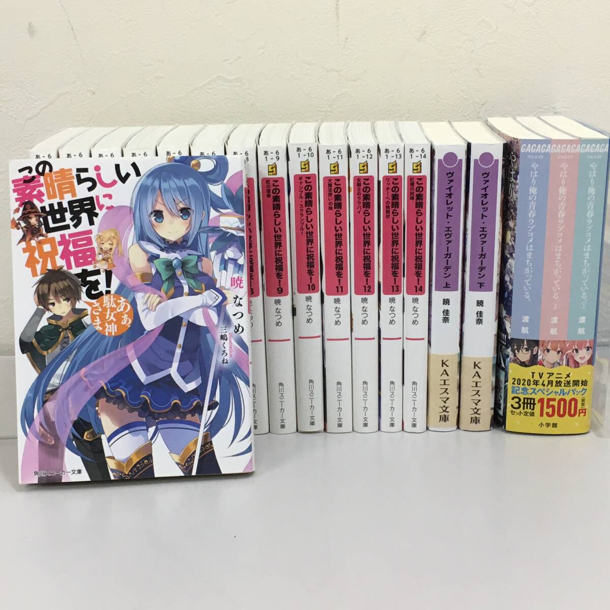 ラノベ まとめ売り この素晴らしい世界に祝福を！ １～１４巻 やはり俺の青春ラブコメはまちがっている 他 中古品