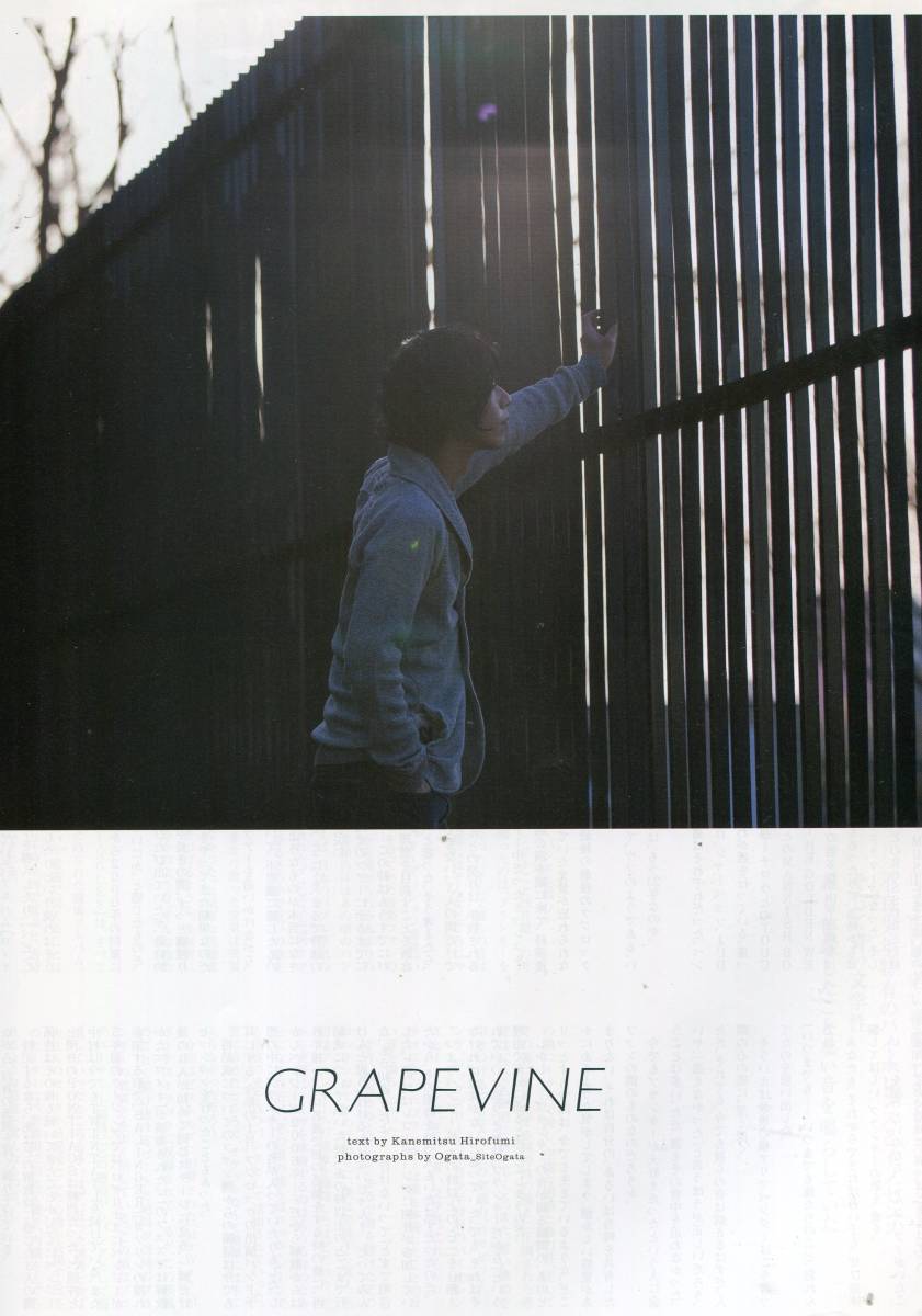 絶版／ GRAPEVINE グレイプバイン 田中和将★ろくでなしの夢　ろくでなしが夢の続きを見る感じ インタビュー 8ページ特集★aoaoya_画像3