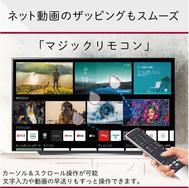 【5年保証付】LG OLED65G1PJA 65型 有機ELテレビ＜展示品＞　送料全国一律5,000円（一部除く）_画像6