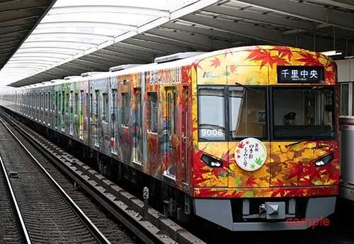 [ railroad photograph ] north Osaka express electro- iron 9000 shape 9006. surface four season . maple number [0007722]