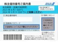 送料無料　2枚セットANA株主優待券　2024年5月末まで_画像1