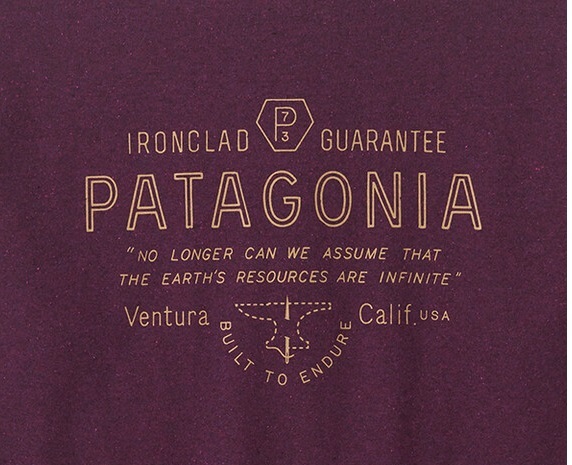 新品未使用！ パタゴニア メンズ フォージマーク レスポンシビリティー Tシャツ ナイトプラム 紫 XLサイズ 半袖 Patagonia アウトドア