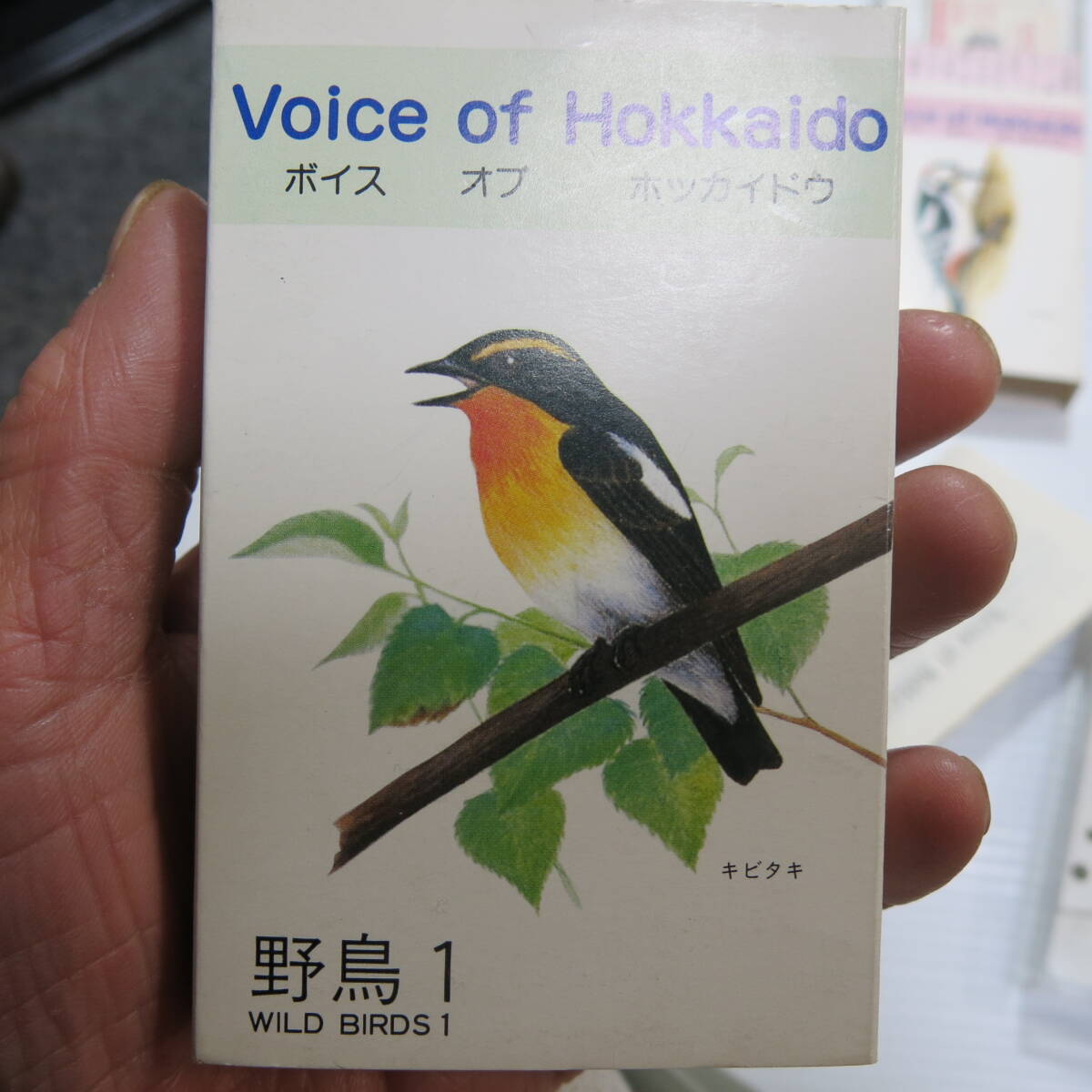 昭和レトロ　カセットテープ　野鳥　4ケ　日本野鳥の会札幌支部　ミュージックあんとん　確認せず　古道具やi (アイ)_画像2