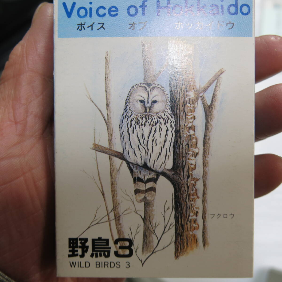 昭和レトロ　カセットテープ　野鳥　4ケ　日本野鳥の会札幌支部　ミュージックあんとん　確認せず　古道具やi (アイ)_画像5