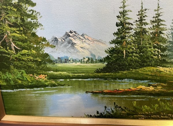 作者不詳 『湖』 6号 油彩 風景画 自然画 傑作 額縁 額寸57.5×49cm_画像3
