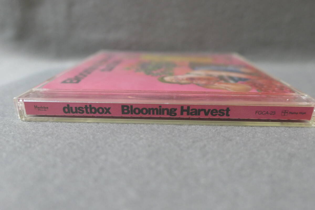 ●送料無料●中古CD●dustbox / Blooming Harvest の画像4