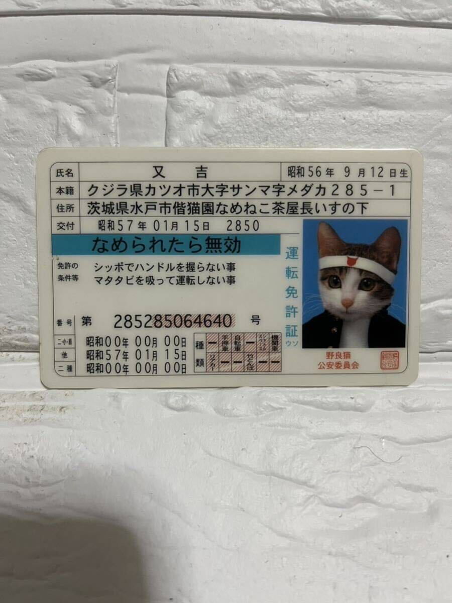 なめ猫 免許証 当時もの 昭和レトロ ヴィンテージ レア | Kim Long Express