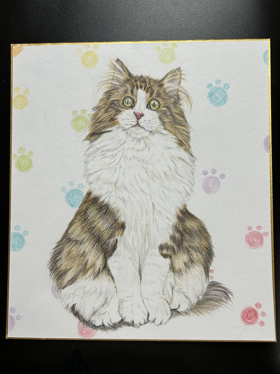 【手描きイラスト】ノルウェージャンフォレストキャット 猫 色鉛筆画 色紙の画像1
