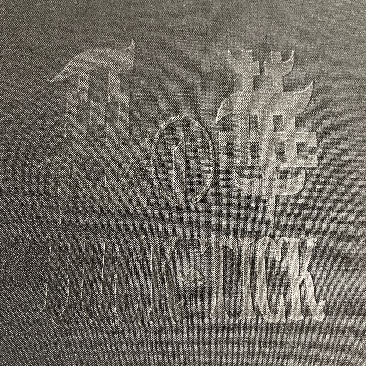 BUCK-TICK 惡の華 写真集 バクチク ツアーパンフレットの画像5