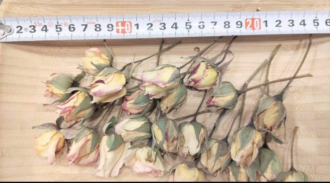 最終処分品ドライフラワー　薔薇20本