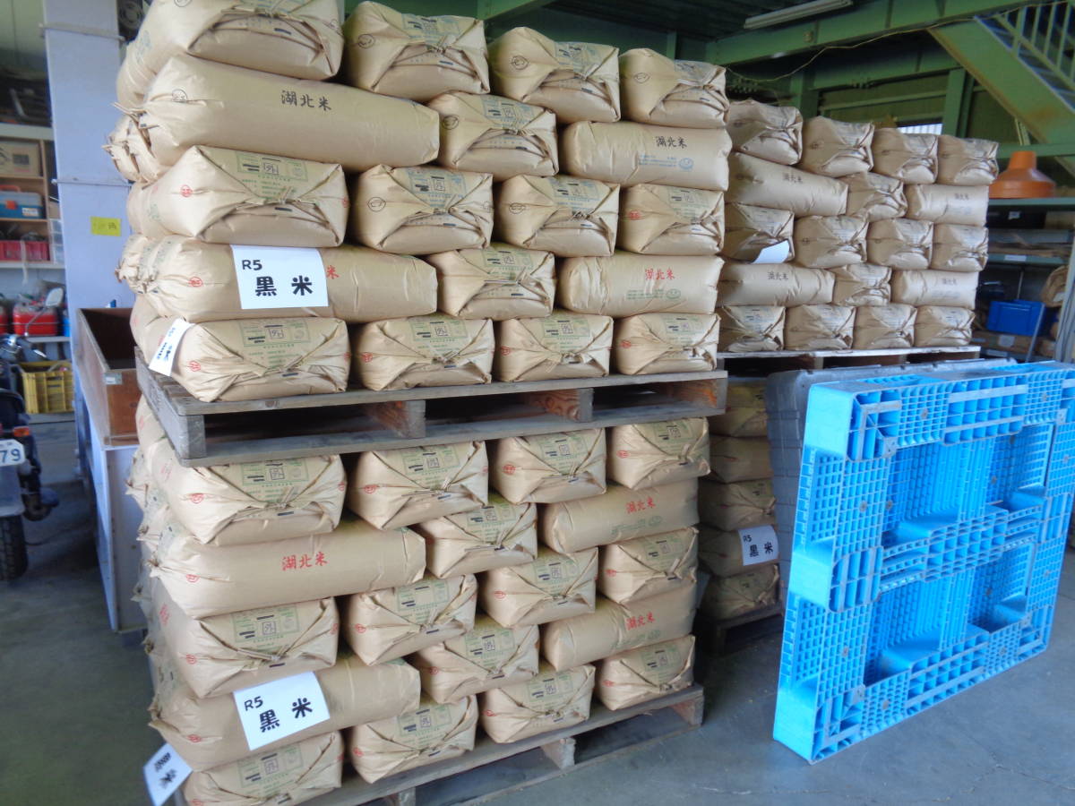 . мир 4 год производство чёрный рис * утро фиолетовый *. серия 30kg