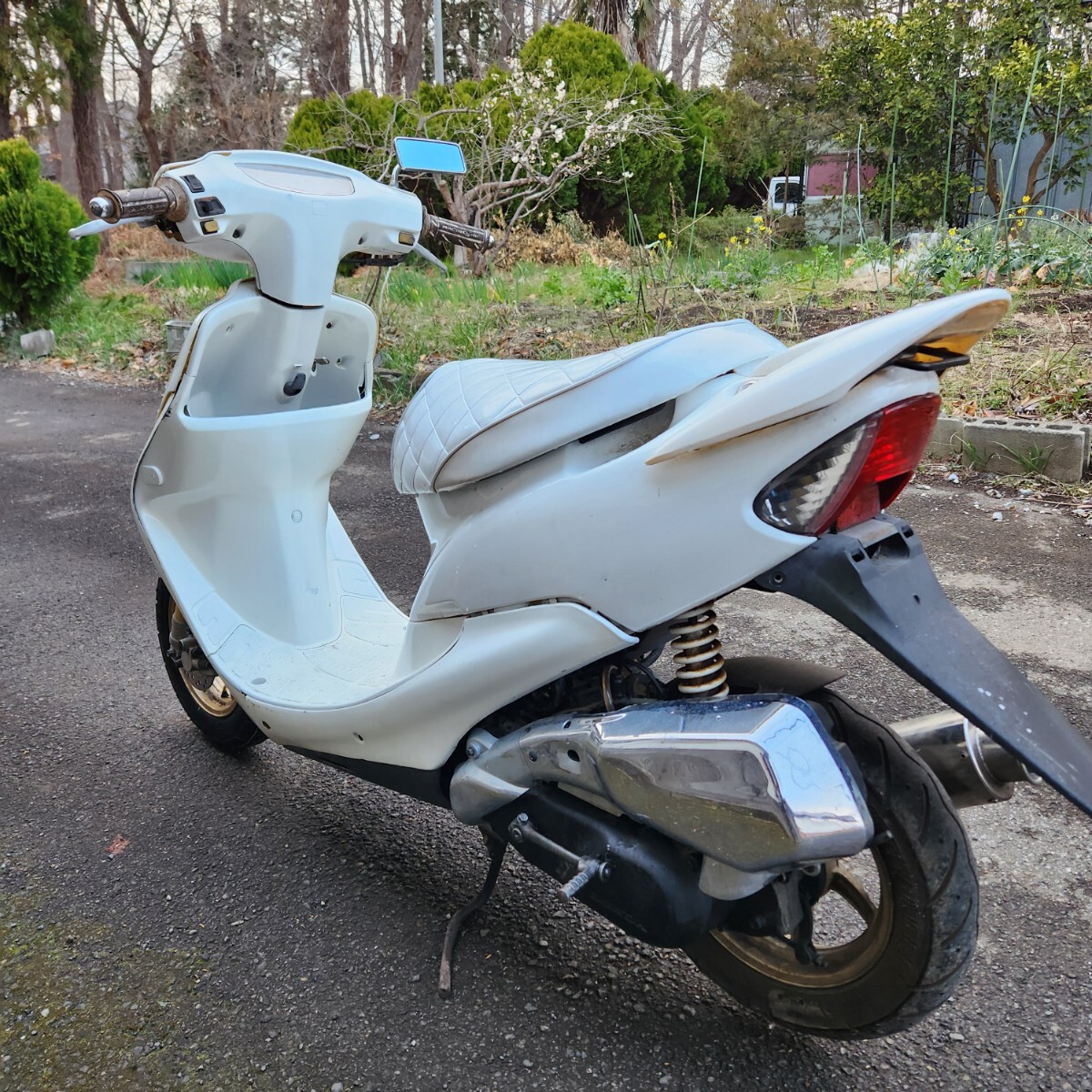 ホンダ ライブディオZX ホワイト エナメルシート 千葉県流山市 ホンダ ライブディオZX ホワイト エナメルシート 千葉県流山市