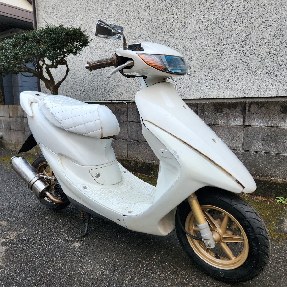 ホンダ ライブディオZX ホワイト エナメルシート 千葉県流山市 ホンダ ライブディオZX ホワイト エナメルシート 千葉県流山市