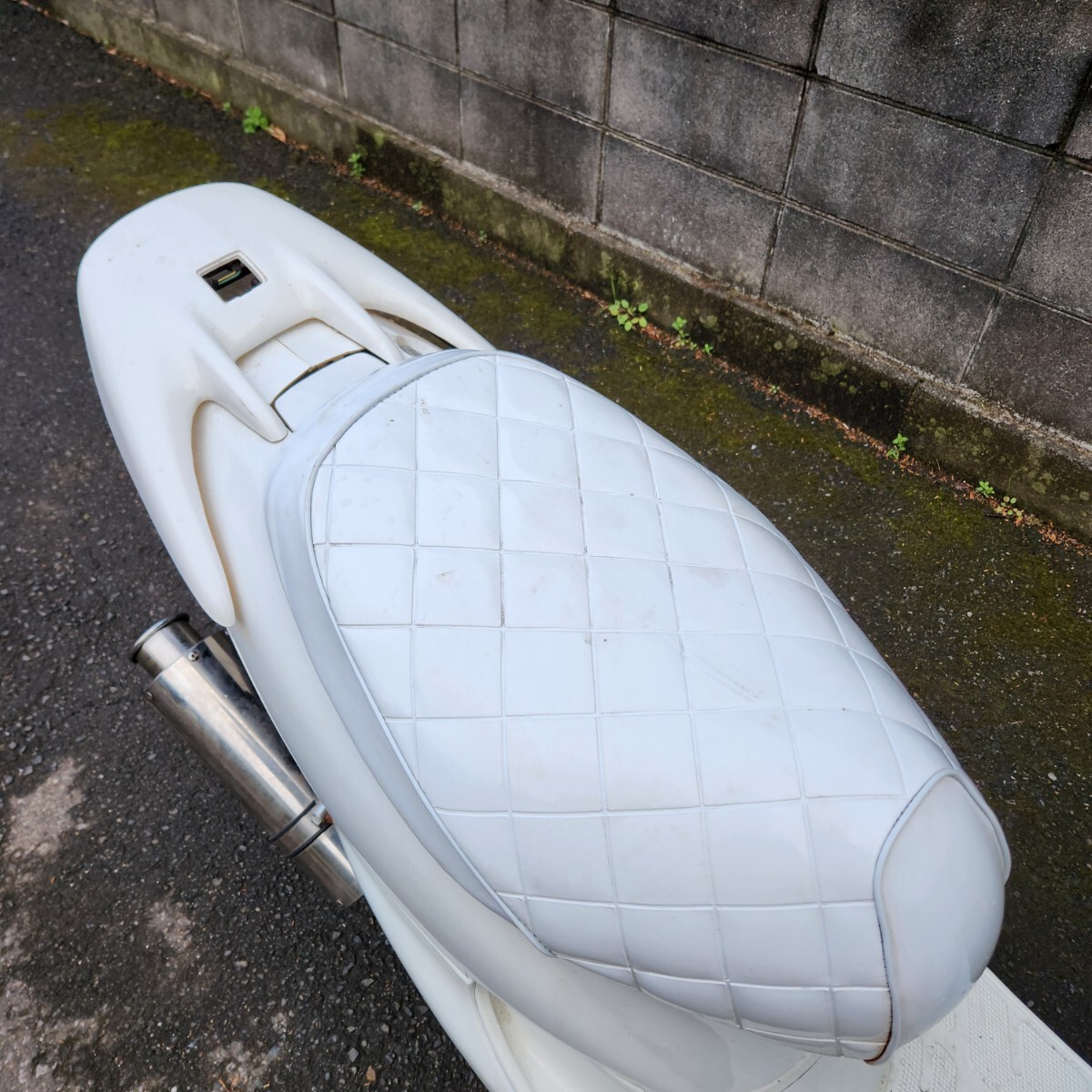 ホンダ ライブディオZX ホワイト エナメルシート 千葉県流山市 ホンダ ライブディオZX ホワイト エナメルシート 千葉県流山市
