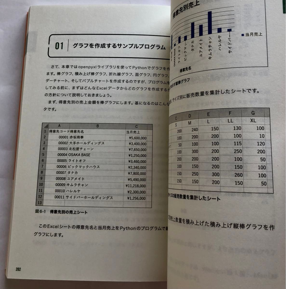 Ｅｘｃｅｌ×Ｐｙｔｈｏｎ最速仕事術　マクロはもう古い！ 金宏和實／著