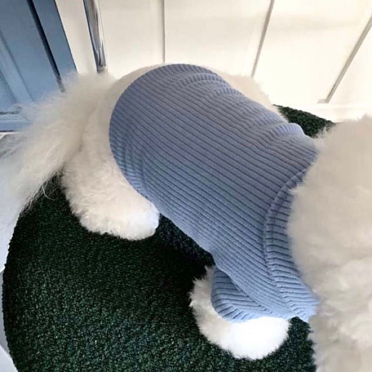 犬服　犬の服　ドッグウェア　トップス　Tシャツ　ブルー　可愛い　青　小型犬　M くすみカラー　重ね着　インナー　おしゃれ　シンプル