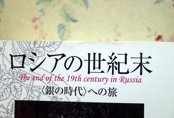 51625/ロシアの世紀末 銀の時代への旅 海野弘 新曜社 図版百点 ロシア三部作 完結編 バレエ・リュス チェーホフ ヴルーベリ ディアギレフ_画像9