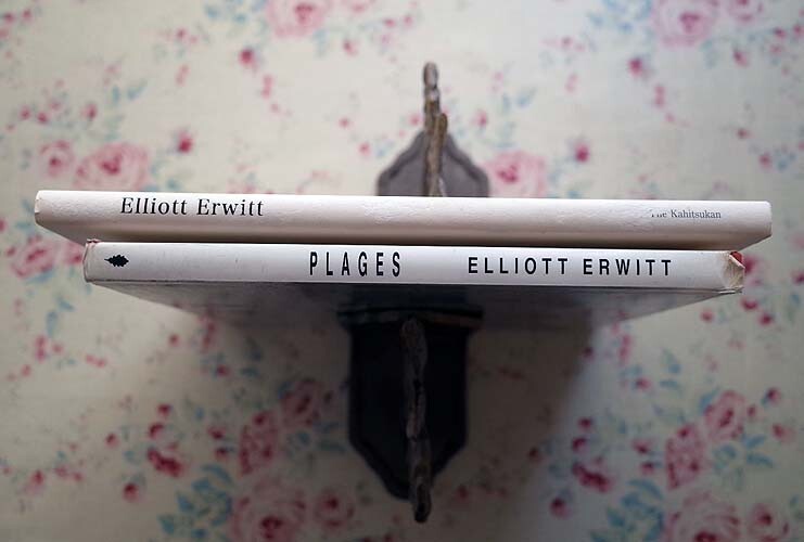 52164/エリオット・アーウィット 写真集 2冊セット 洋書 Elliott Erwitt Plages 1991年 何必館 梶川芳友 マグナム・フォトの画像3