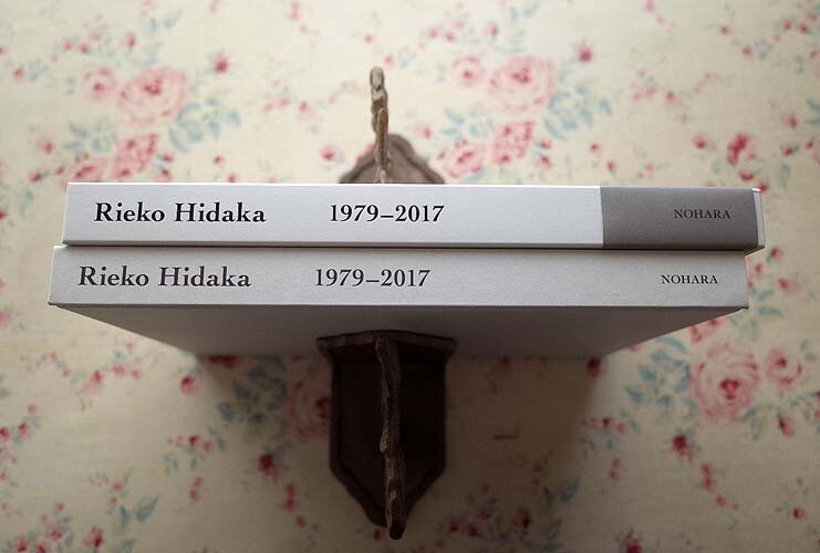 98577/Rieko Hidaka 日高理恵子作品集1979‐2017 ヴァンジ彫刻庭園美術館 函入り 初版 約100点の作品図版/作家の言葉 論考 初作品集_画像5