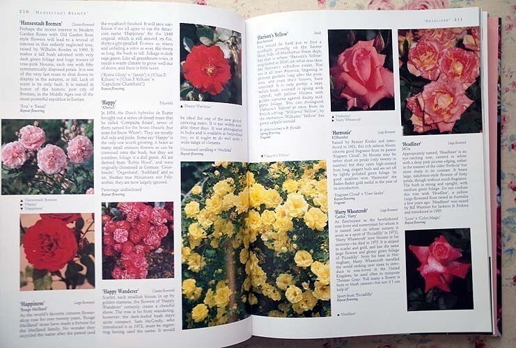 45339/バラの本 The Ultimate Rose Book 1500 Roses クラシックローズ イングリッシュローズ ガーデン 薔薇 ガーデニング 園芸_画像4