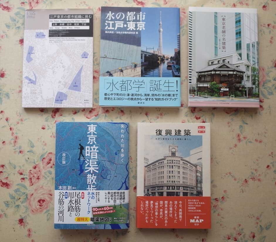 52103/建築の東京 ほか 10冊セット 五十嵐太郎 日本の初期モダニズム建築家 東京老舗の名建築 復興建築 東京 暗渠散歩 東京23区凸凹地図_画像5