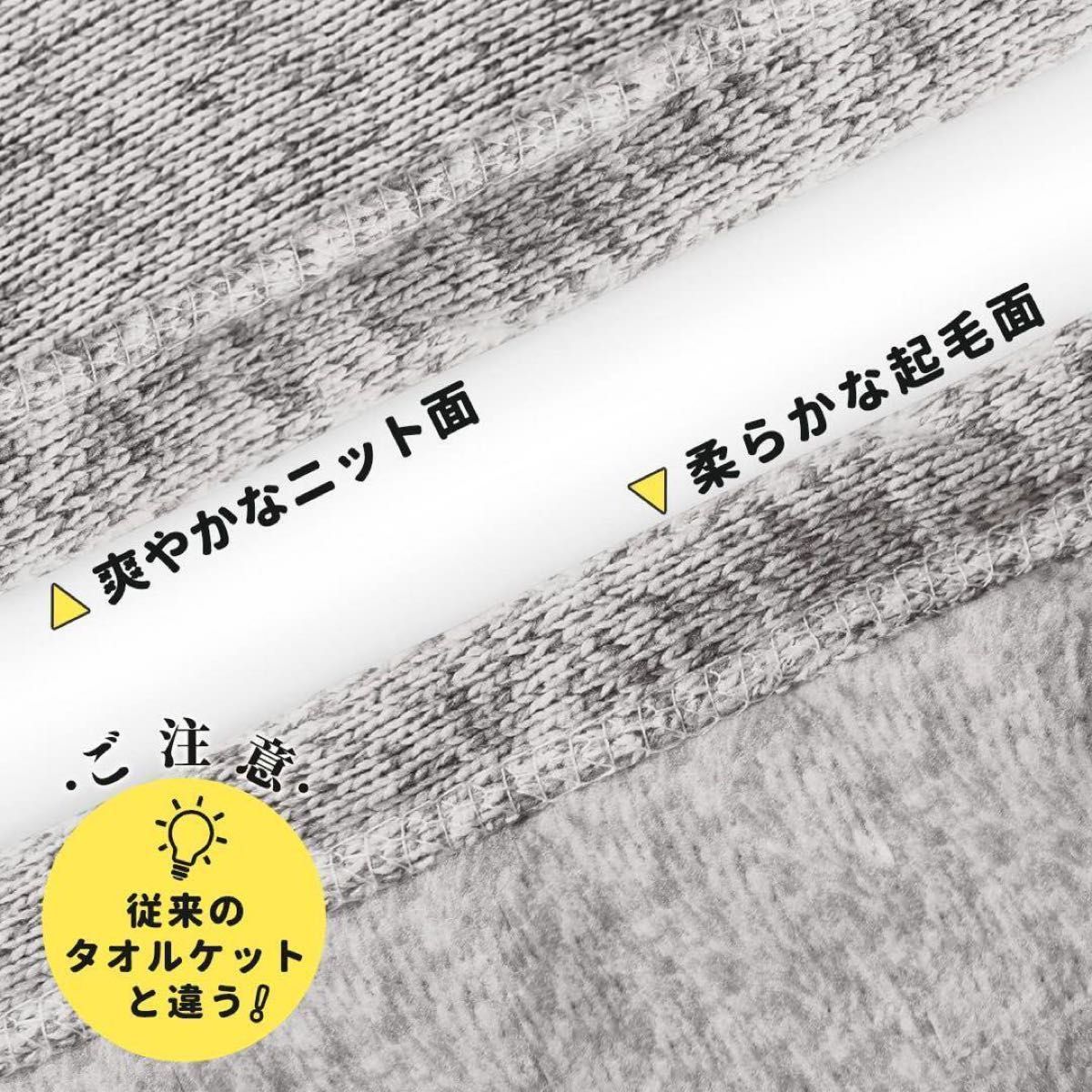 タオルケット ダブル 180ⅹ200cm 大判 夏用 ほつれにくい ソファー用 ふんわりあったか毛布