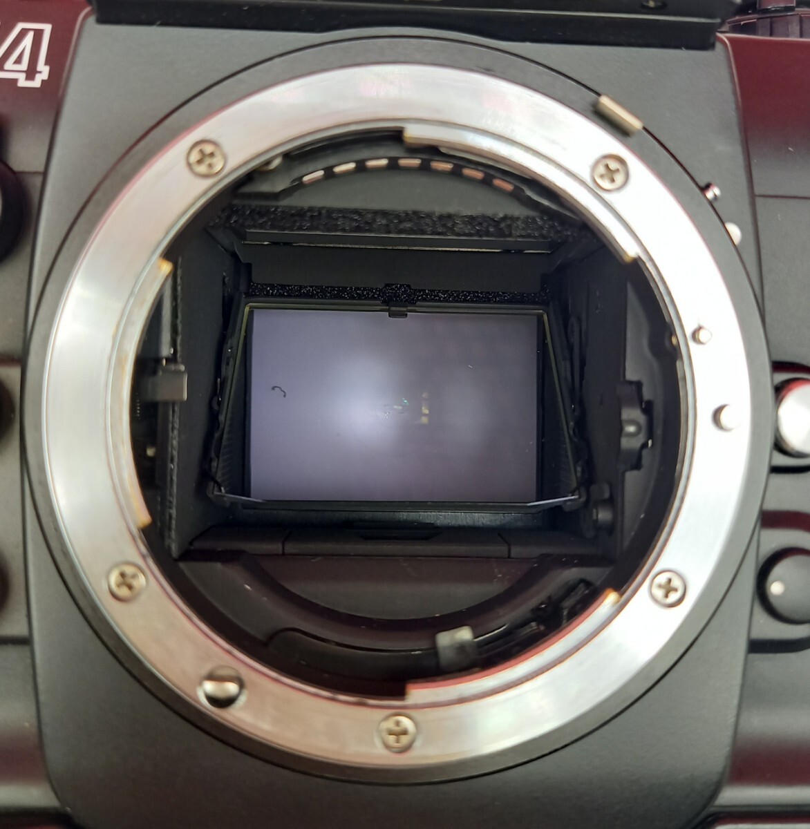 ■防湿庫保管品 Nikon F4 フィルム一眼レフカメラ ボディ AF NIKKOR 35-135/3.5-4.5 レンズ 動作確認済 シャッター、露出計OK ニコン_画像7