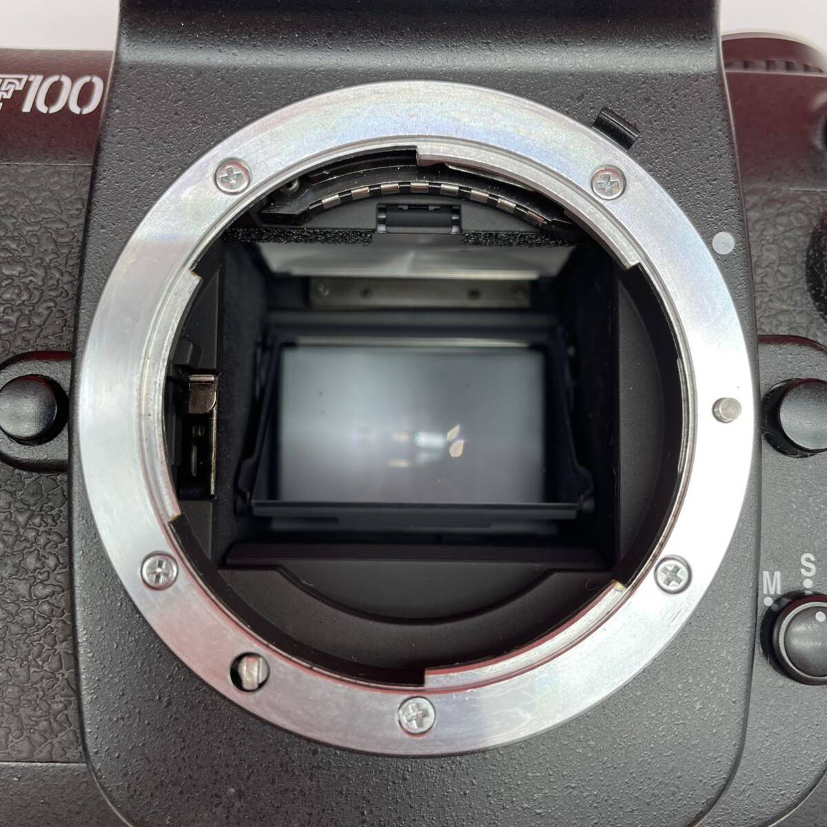□ 防湿庫保管品 Nikon F100 フィルムカメラ 一眼レフカメラ ボディ 動作確認済 シャッターOK ニコン_画像9