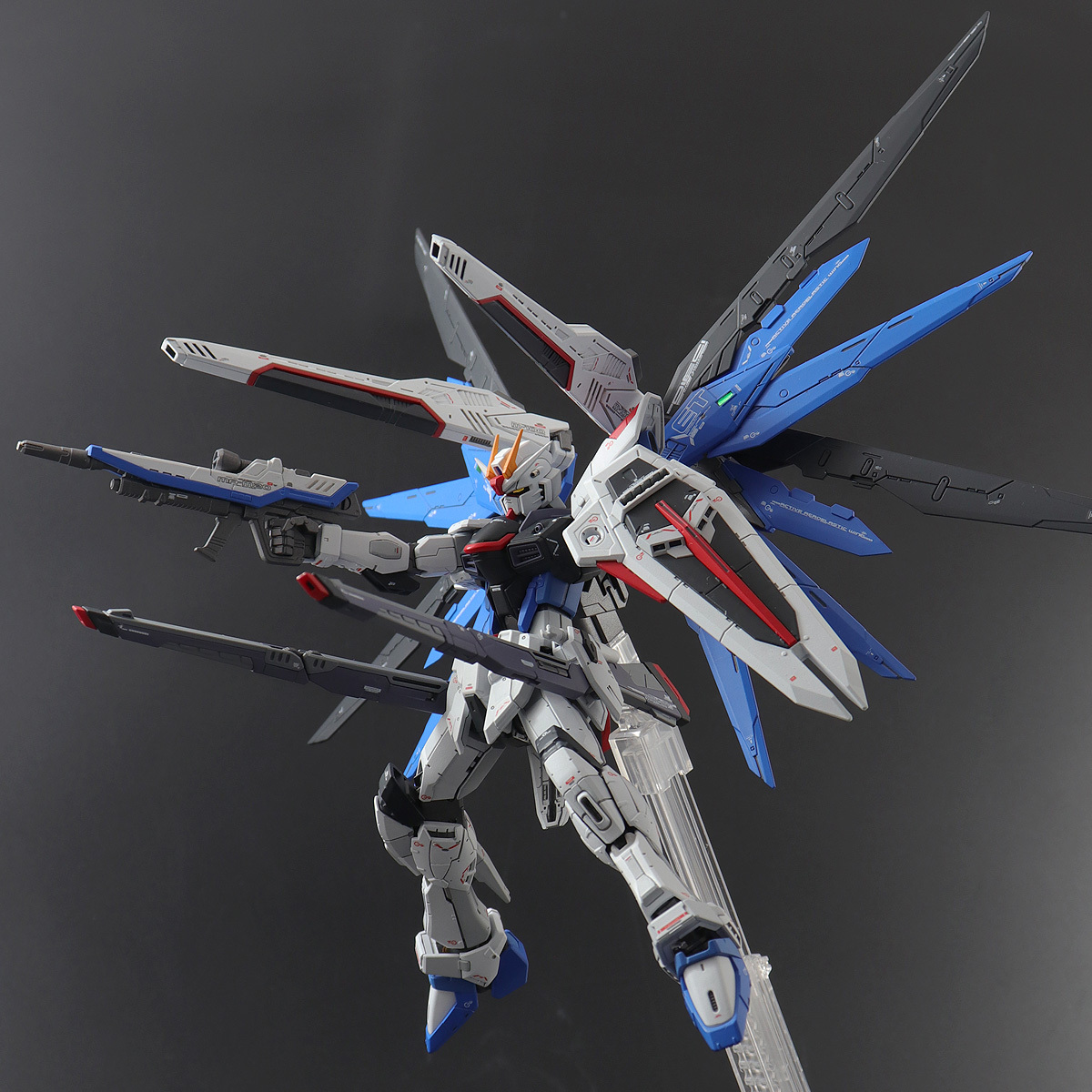 RG フリーダムガンダム 通常版+GCPVer. ミキシング ビルド 改修塗装済完成品 機動戦士ガンダムSEED シード キラ・ヤマト_画像4