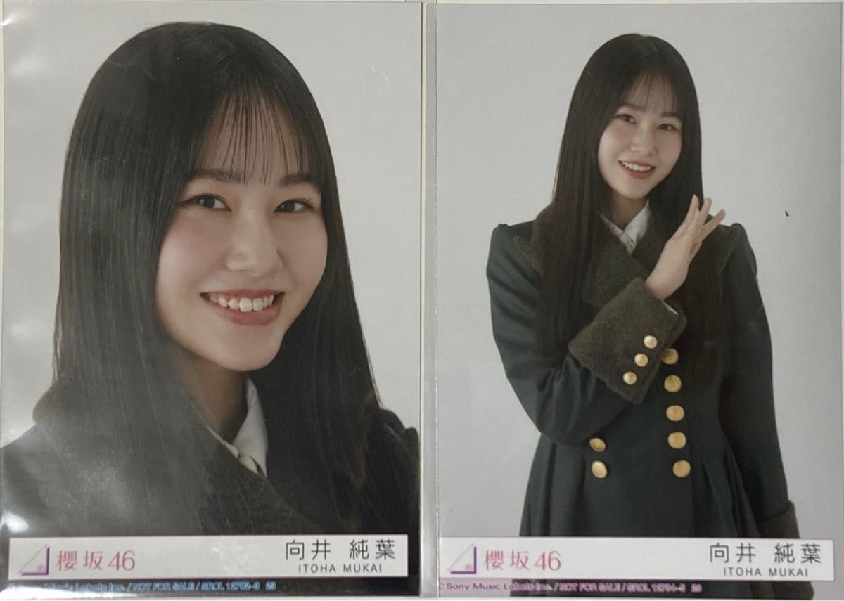 櫻坂46】向井 純葉/生写真 2枚|Yahoo!フリマ(旧PayPayフリマ) 櫻坂46】向井 純葉/生写真 2枚|Yahoo!フリマ(旧PayPayフリマ)