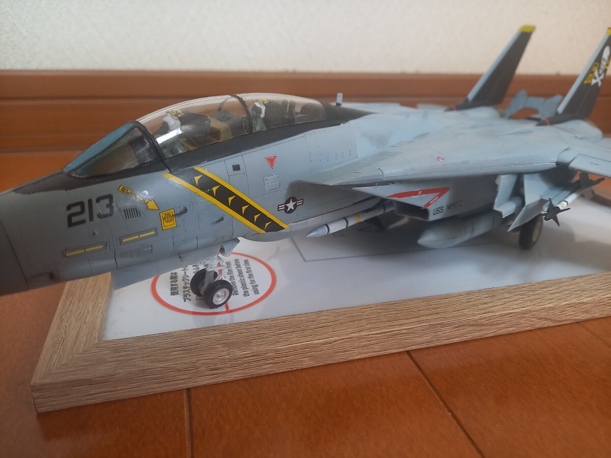 1／48　ハセガワ　F-14A トムキャット　アメリカ空軍　第84戦闘飛行隊　ジョリーロジャース　VF-84　完成品_画像2