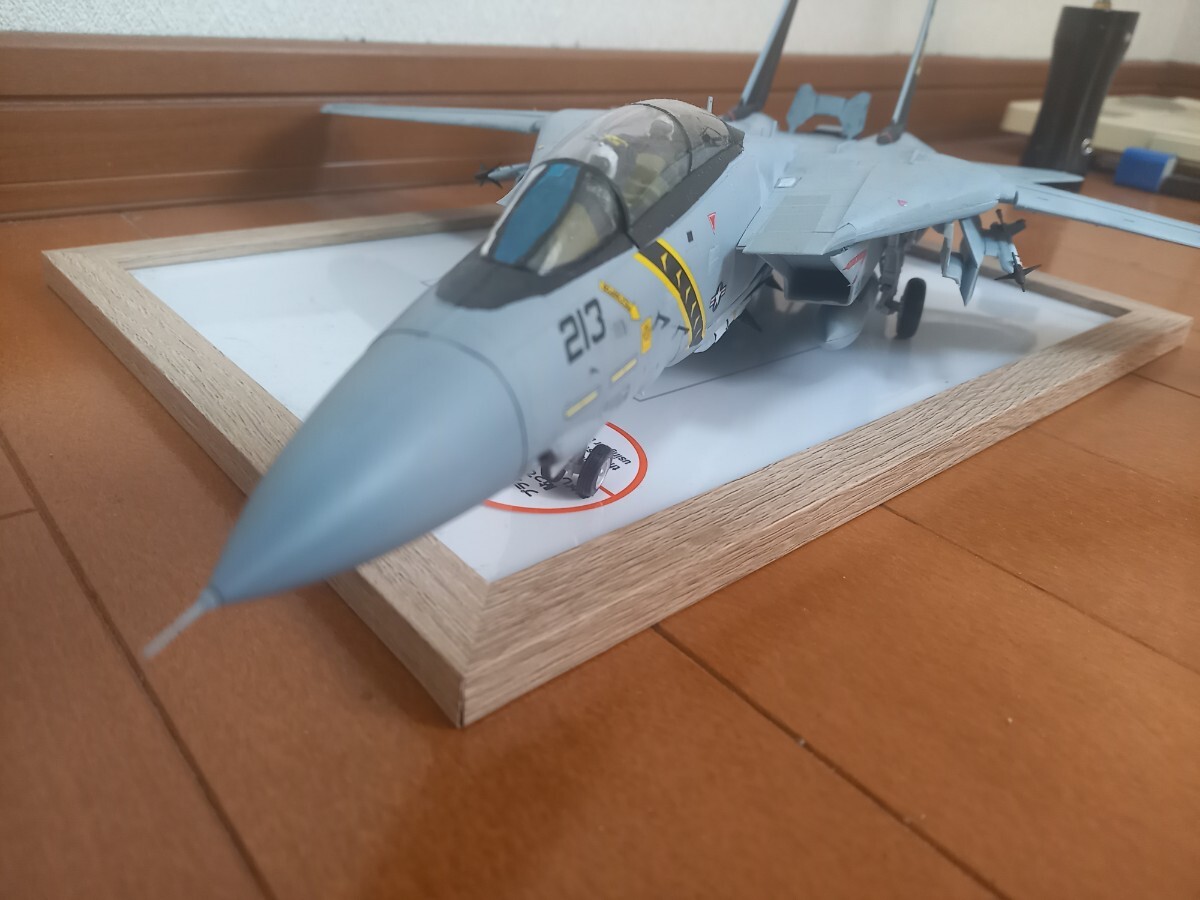 1／48　ハセガワ　F-14A トムキャット　アメリカ空軍　第84戦闘飛行隊　ジョリーロジャース　VF-84　完成品_画像7