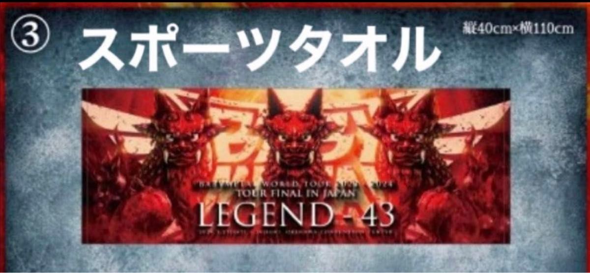 アイアンマン様専用「BABYMETAL TOUR FINAL IN JAPAN LEGEND - 43」赤子金属提灯