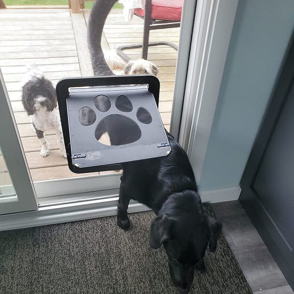  pet door screen door exclusive use cat door screen door for pet. . entering . installation easy small size dog cat pet . entering . lock attaching magnet type 1 piece only 