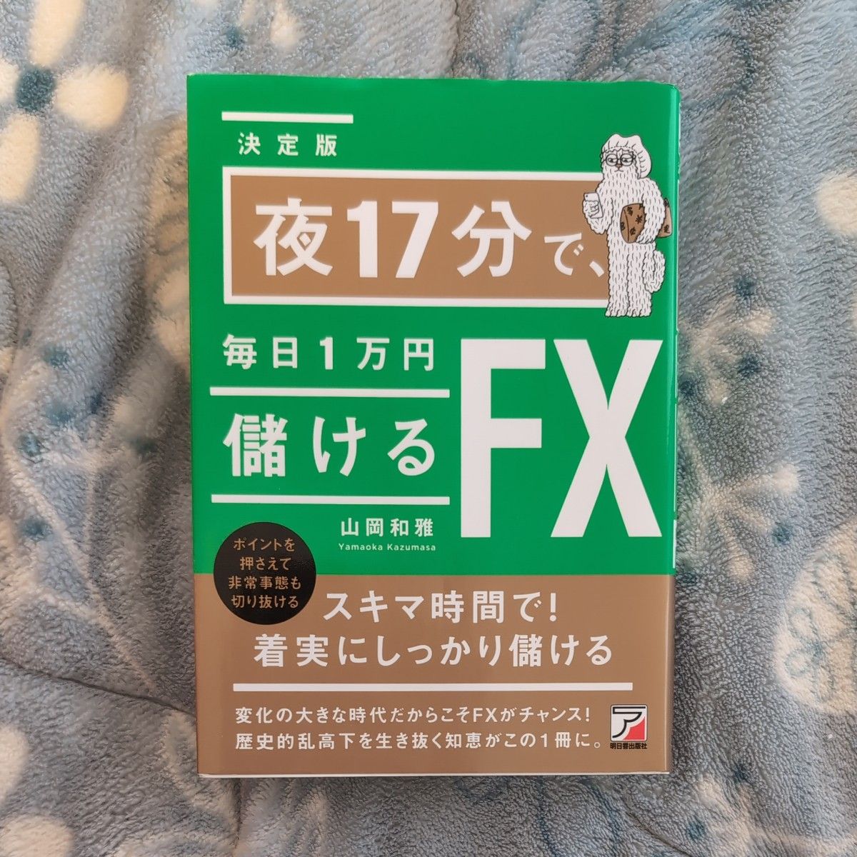 人生において買わなくてもいい本　　　夜１７分で、毎日１万円儲けるＦＸ （決定版） 山岡和雅