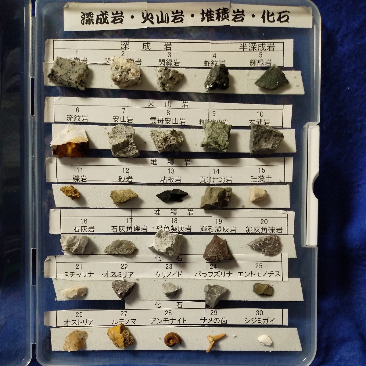 鉱物　30種類　深成岩・火山岩・堆積岩・化石_画像1