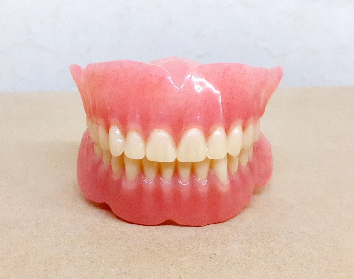 送料込み 上下総義歯 歯科 総義歯 サンプル 見本 入れ歯 フルデンチャー 歯科技工 歯科 技工の画像3