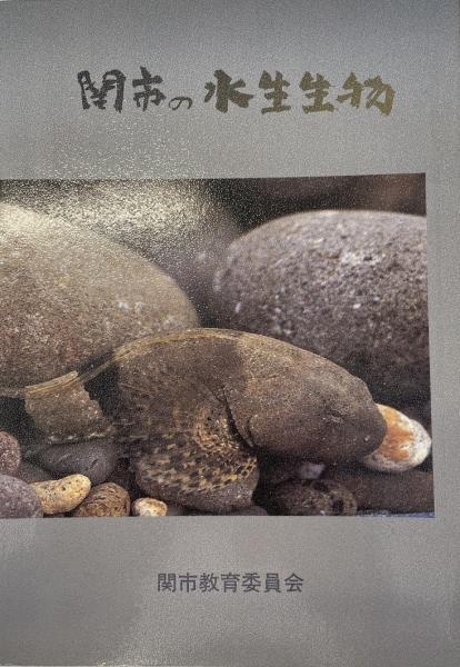 分子生物学大百科事典/T.E.クレイトン(著者),太田次郎(著者 分子生物学大百科事典/T.E.クレイトン(著者),太田次郎(著者