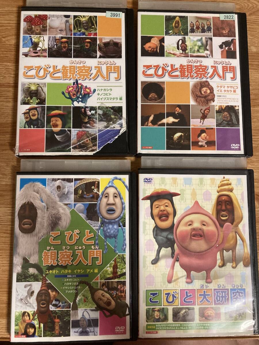 こびと観察入門　DVD 8巻セット　