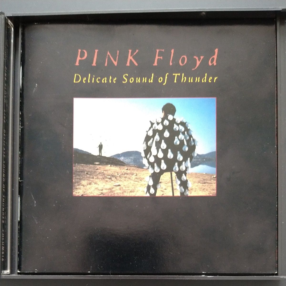 Pink Floyd DELCATE SOUND OF THUNDER LIVE 輸入盤 CD ２枚組