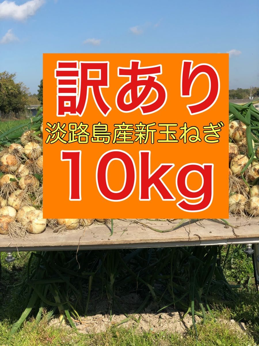 訳あり淡路島産新玉ねぎ10kg