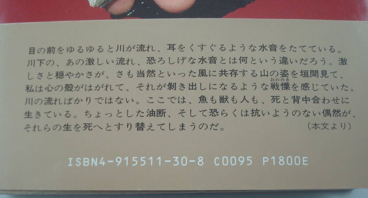 送料無料★秘境釣行記 生きていた川と北の奥地の物語 今野保 帯付 単行本 ノンフィクション_画像3