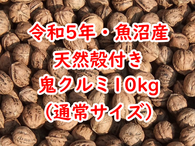 令和5年★新潟・魚沼産★天然殻付き鬼クルミ★10kg★通常サイズ★国産鬼胡桃の画像1