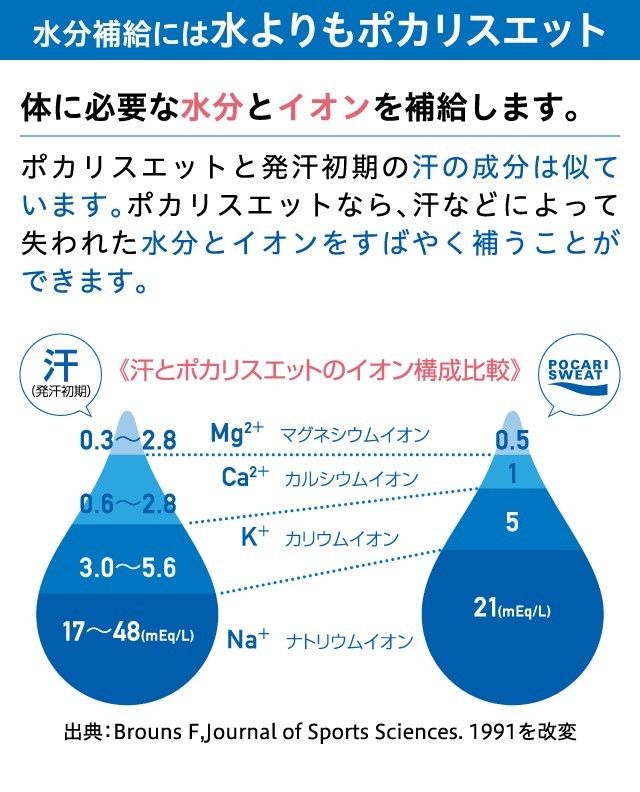 大塚製薬 ポカリスエット 10L用粉末 740g × 2袋