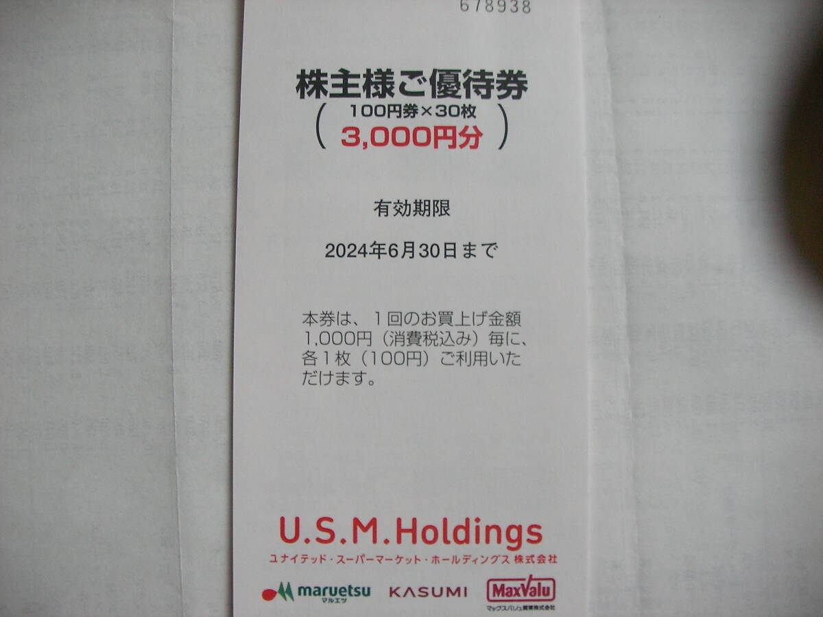 U.S.M.ホールディングス株主優待券（１００円券ｘ30枚）3000円分_画像1