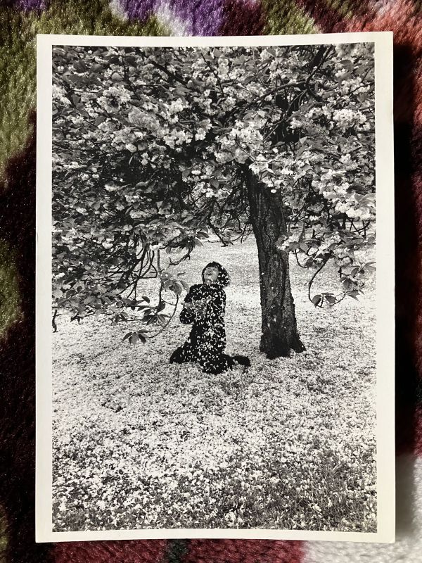 80年代　日本　エドゥアール・ブバ　かわいい子供ポートレイト　26///挨拶誕生日バースデー