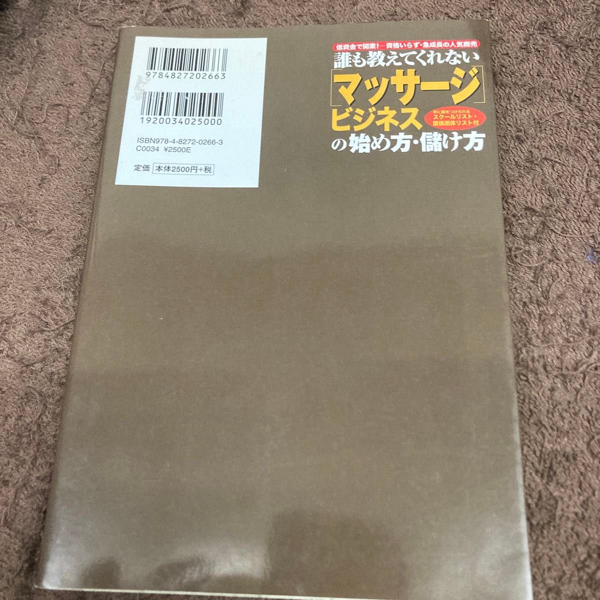 誰も教えてくれない〈マッサージ〉ビジネスの始め方・儲け方　低資金で開業！－資格いらず・急成長の人気商売 野沢一馬／著