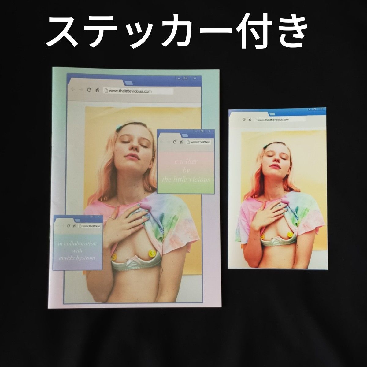 貴重 ステッカー付き Arvida Bystrom c u l8er アルヴィダ・バイストロム .写真集 zine