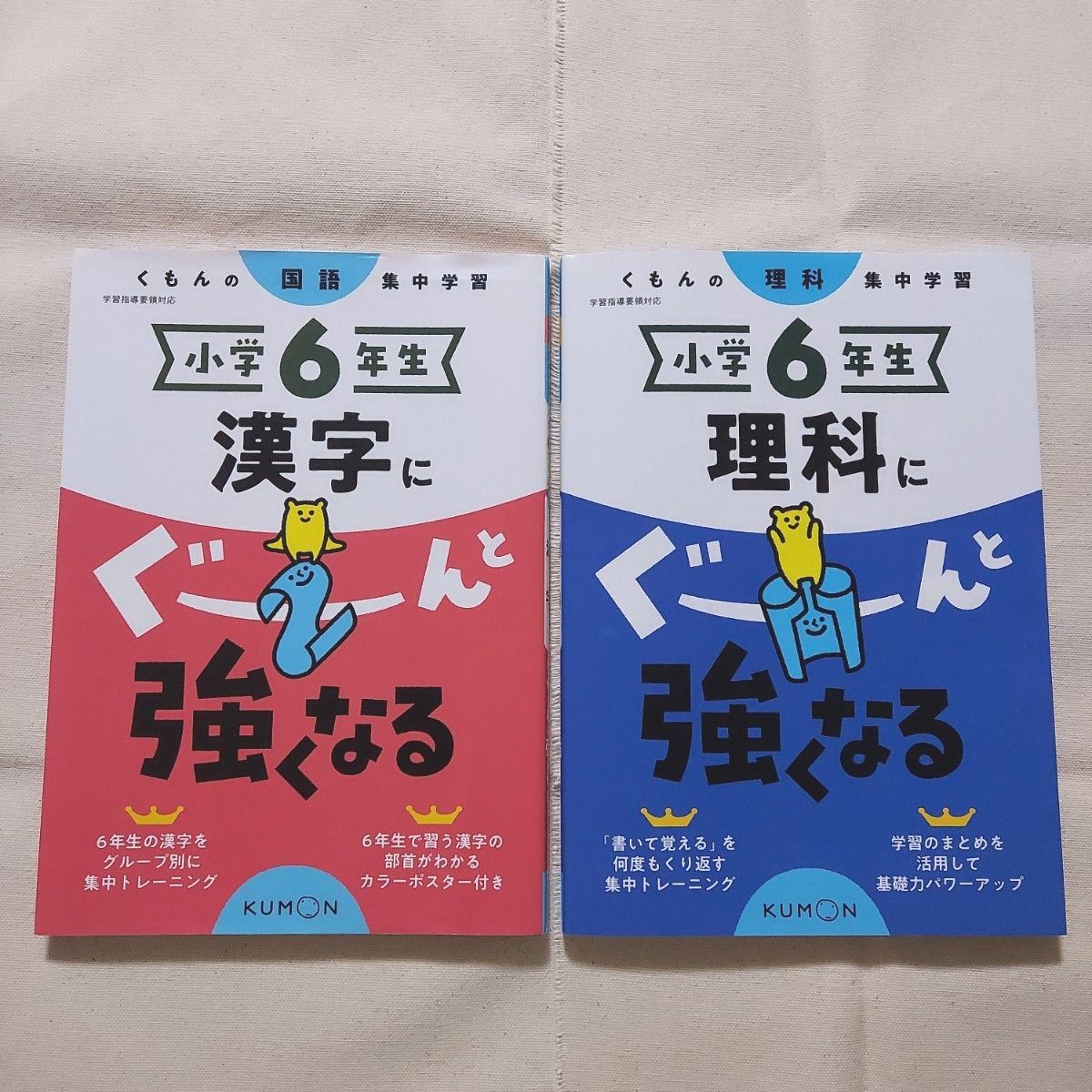 2冊セット】小6 ぐーんと強くなる(漢字・理科)｜Yahoo!フリマ（旧