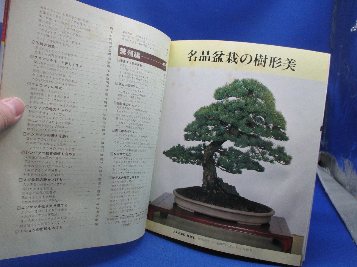 図解松柏盆栽の樹形づくり―オールカラー版/32808の画像3